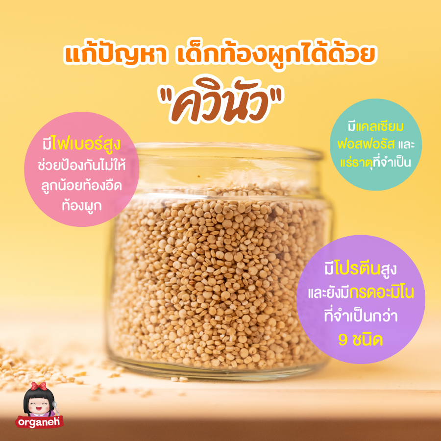 ควินัว ออร์กานิก บดผง Organic Quinoa Powder