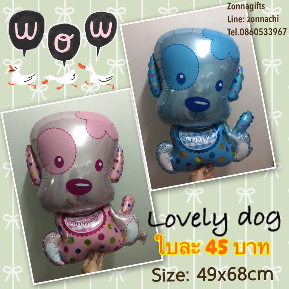 ฟอลย์น้องหมา lovely dog