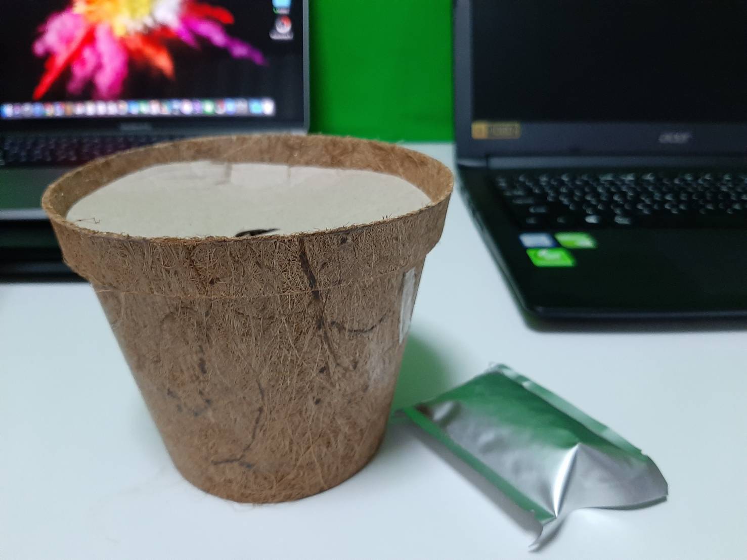 ชุดปลูกข้าวสาลีสำเร็จรูป ตั้งโชว์สวย ปลูกง่าย พร้อมปลูก