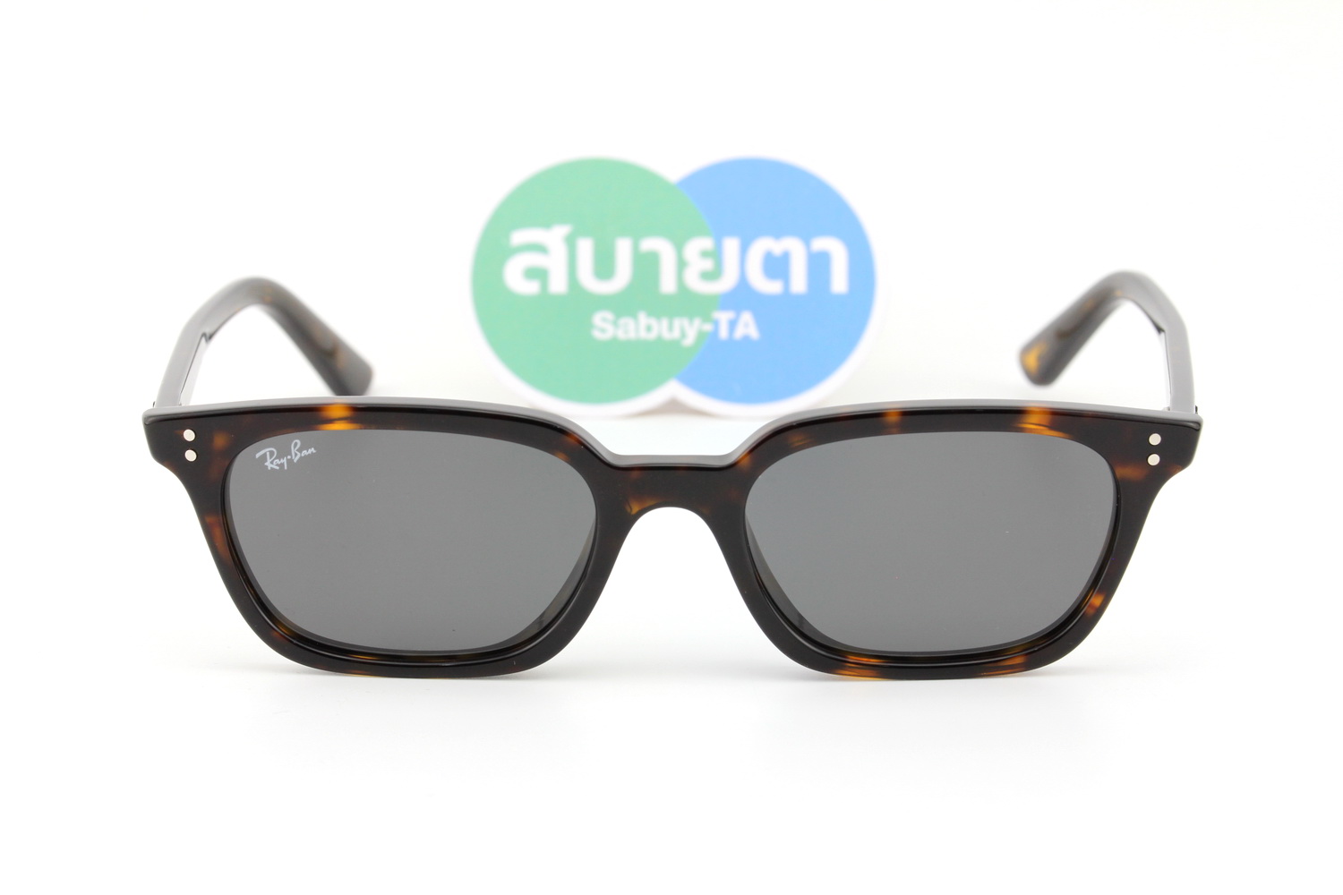 RayBan ZAYA RB4456F 135987