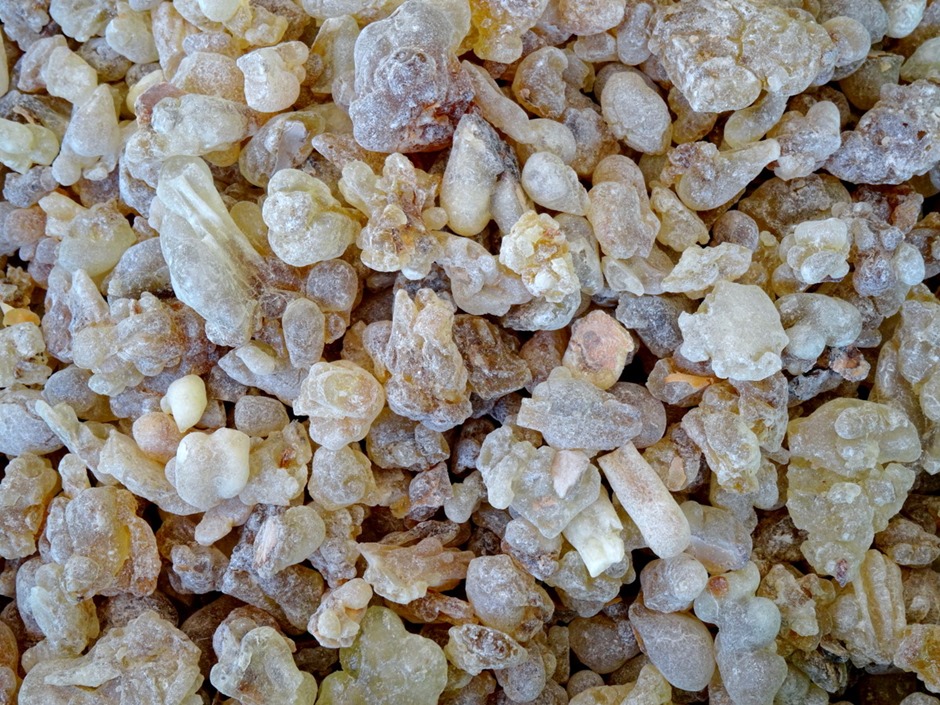 น้ำมันกำยาน อโรม่า Frankincense Oil แท้ 100% จากประเทศโอมาน Oman กลิ่นหอมสะอาด ลดความเครียด แก้โรคภูมิแพ้ หอบหืด ไซนัส ไข้หวัด ช่วยฟอกอากาศ บำรุงผิว ลดเรือนริ้วรอย แก้ปวด บวม ไข้ข้ออักเสบ เสริมสร้างเซลและภูมิคุ้มกัน 3 ml.
