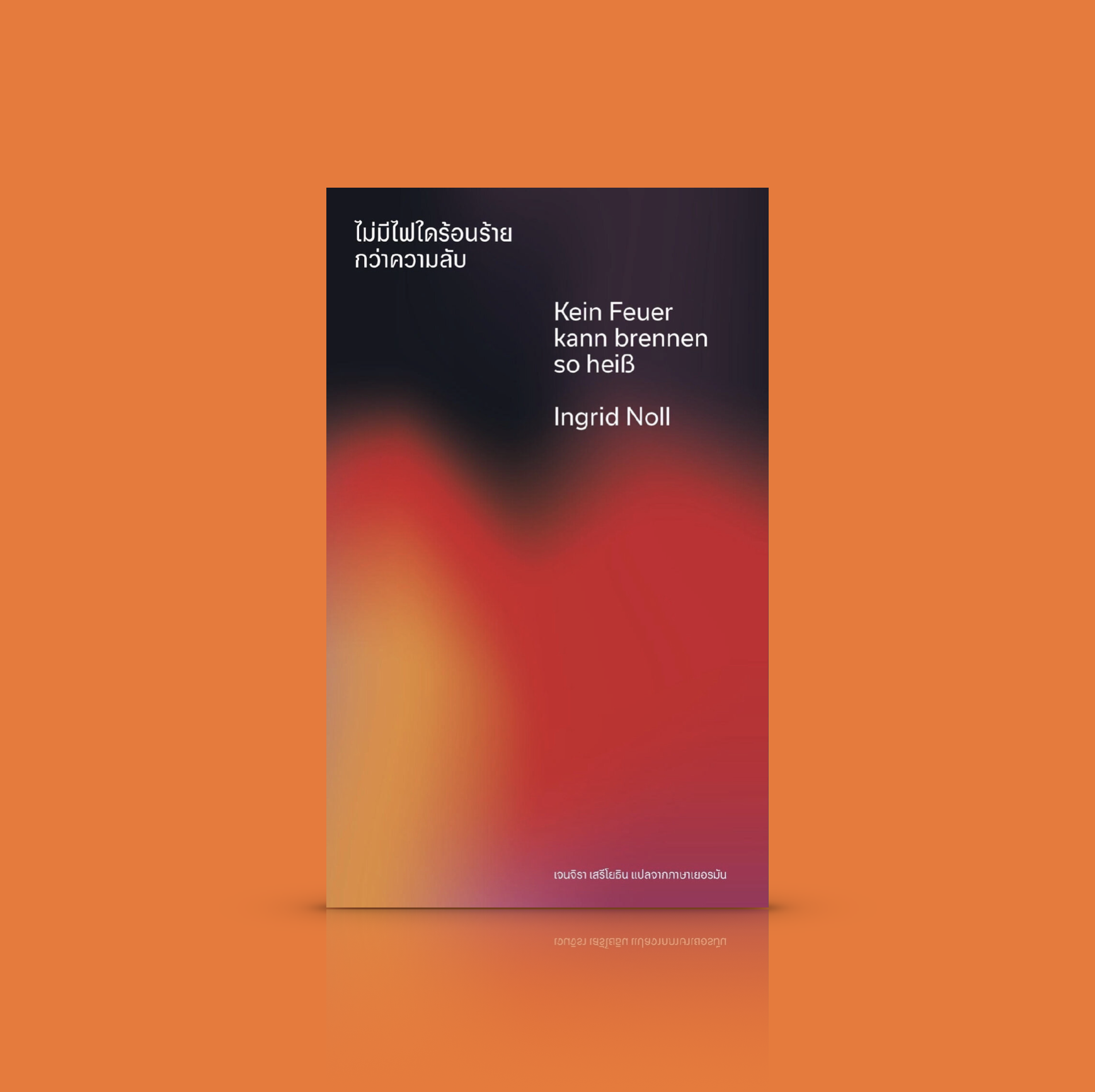 หนังสือ ไม่มีไฟใดร้อนร้ายกว่าความลับ อาชญนิยายเยอรมัน ความสัมพันธ์สุดเร้าใจของเหล่าลูกจ้างที่ให้การพยาบาลเจ้านายผู้มั่งคั่ง