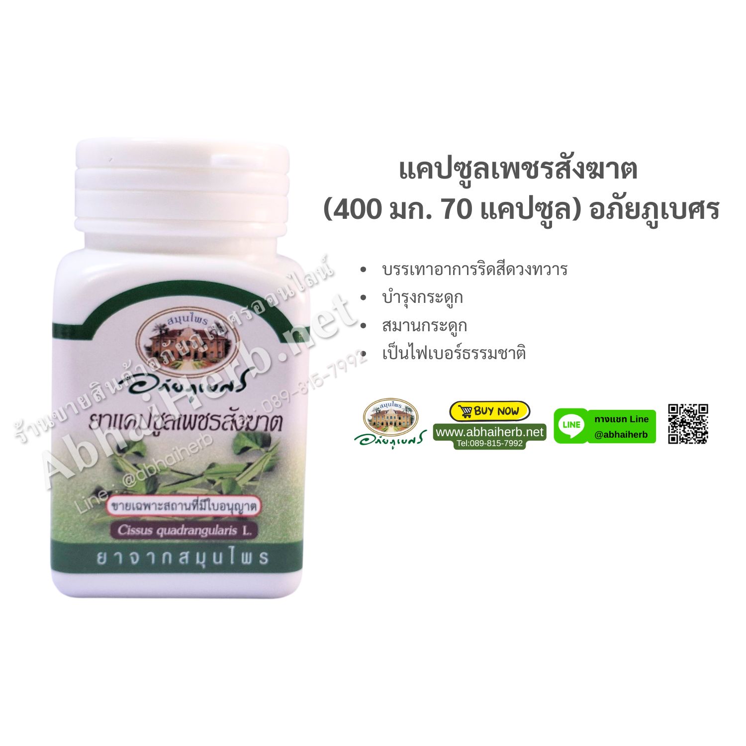 (ลด 10%) แคปซูลเพชรสังฆาต (400 มก. 70 แคปซูล) อภัยภูเบศร (สินค้าขายดี)