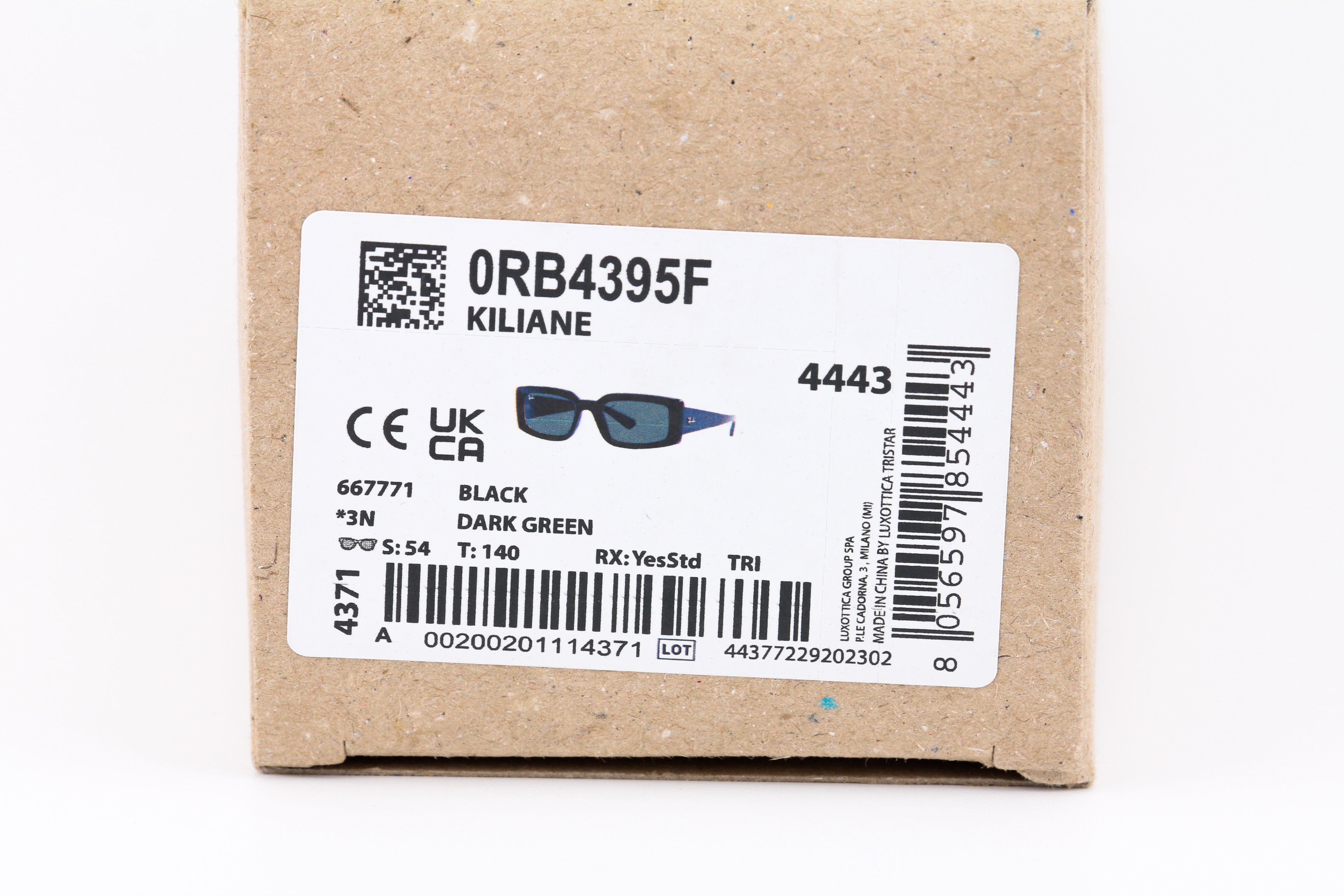 RayBan KILIANE RB4395F 667771