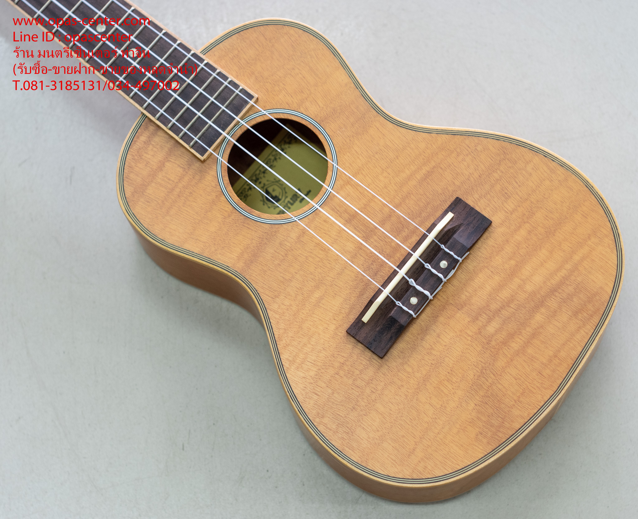 อคูเลเล่ UKULELE ยี่ห้อ Century ของใหม่ ขนาด Concert รุ่น S-248 สีไม้ด้าน สวย เสียงดี ขายถูก