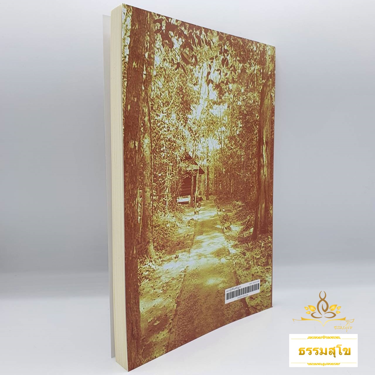 แนวปฏิบัติในสติปัฏฐาน : พระนิพนธ์ สมเด็จพระญาณสังวร