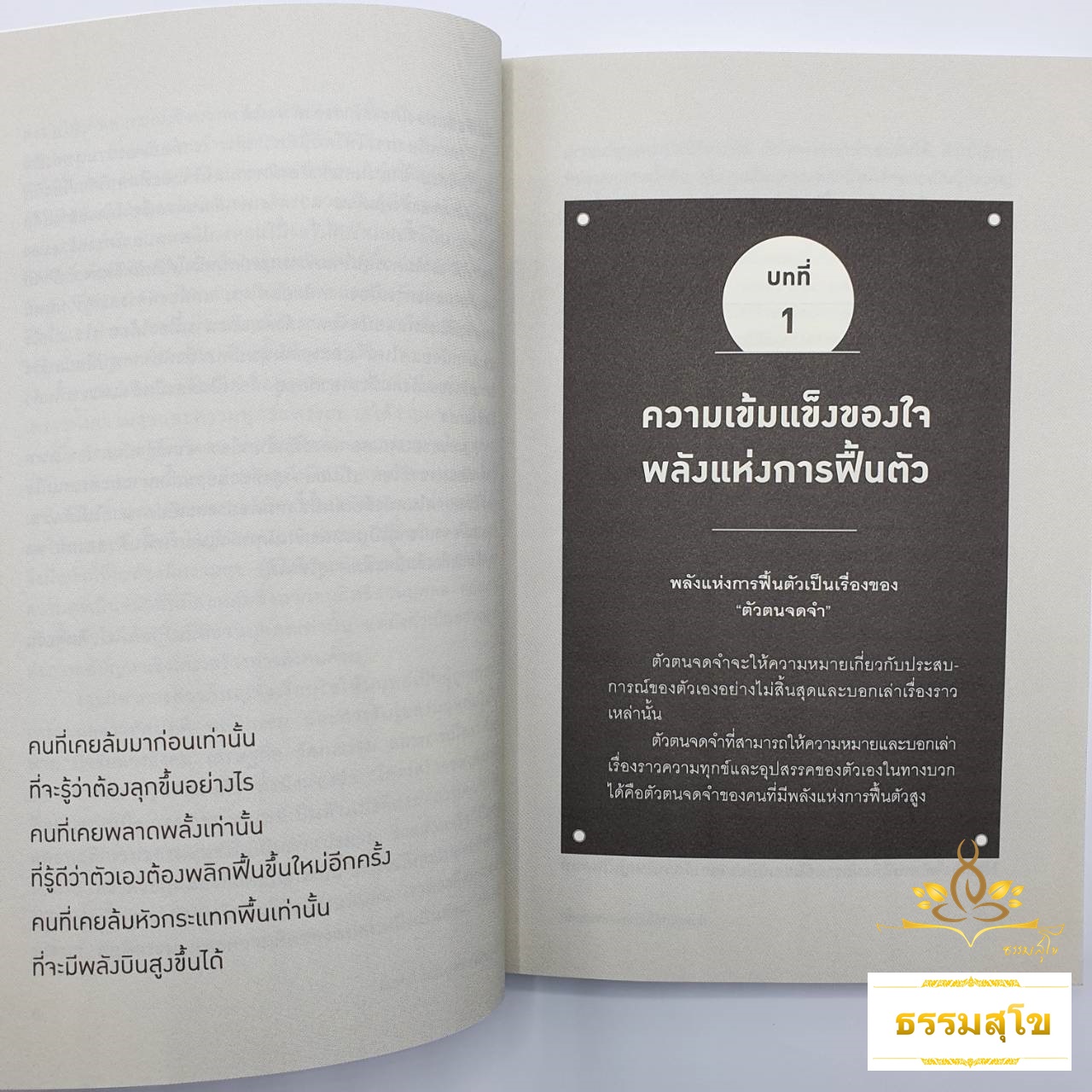 Resilience ยืนหยัดได้ไม่ว่าจะเกิดอะไรขึ้น "พลังแห่งการฟื้นตัว"