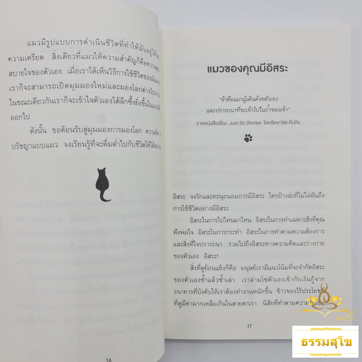 เมื่อแมวที่บ้านคุณผันตัวเองมาเป็นไลฟ์โค้ช