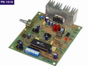 NPE Kit Voice Recorder 90sec PK-1019 ลงปริ้นท์