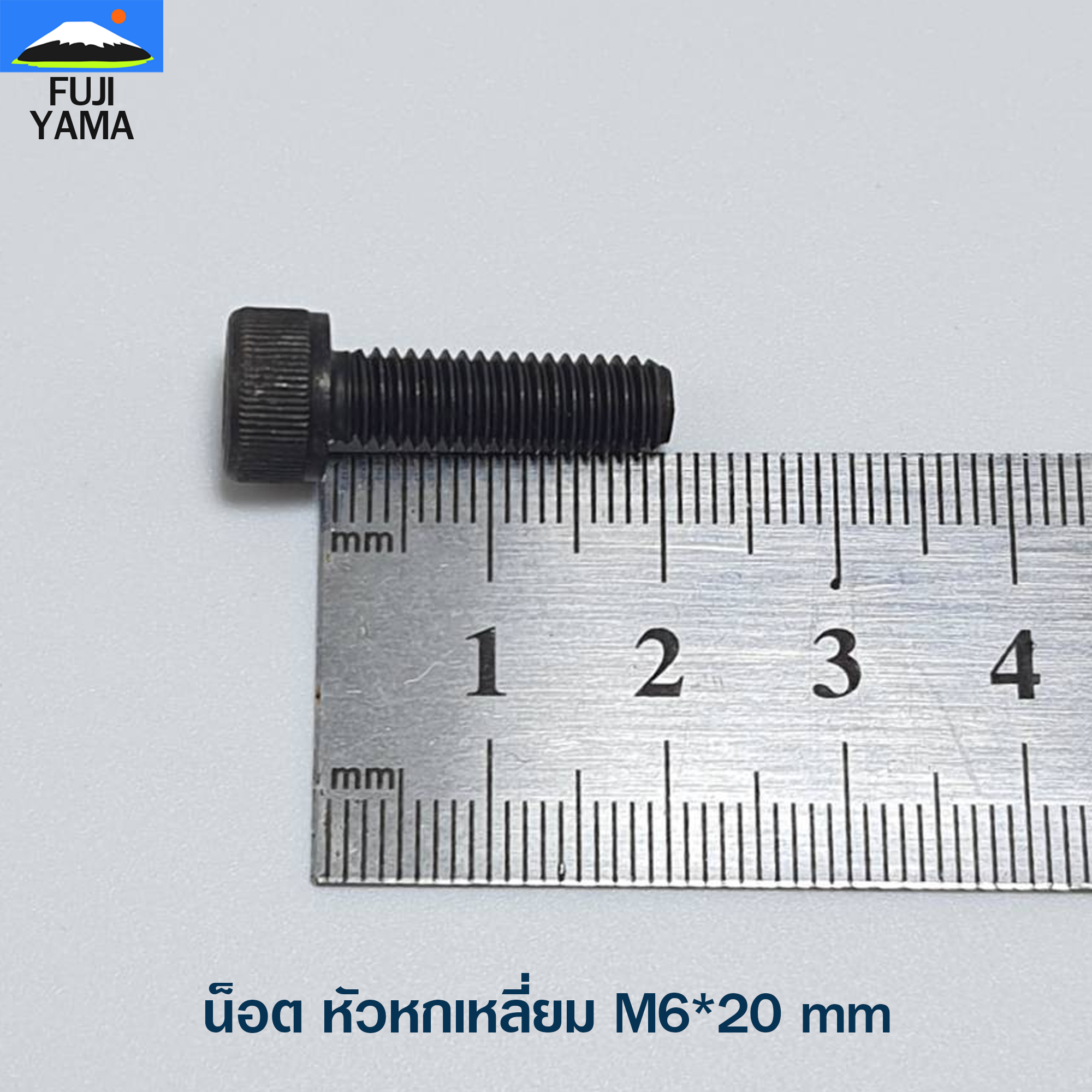น็อต หัวหกเหลี่ยม M6*20 mm