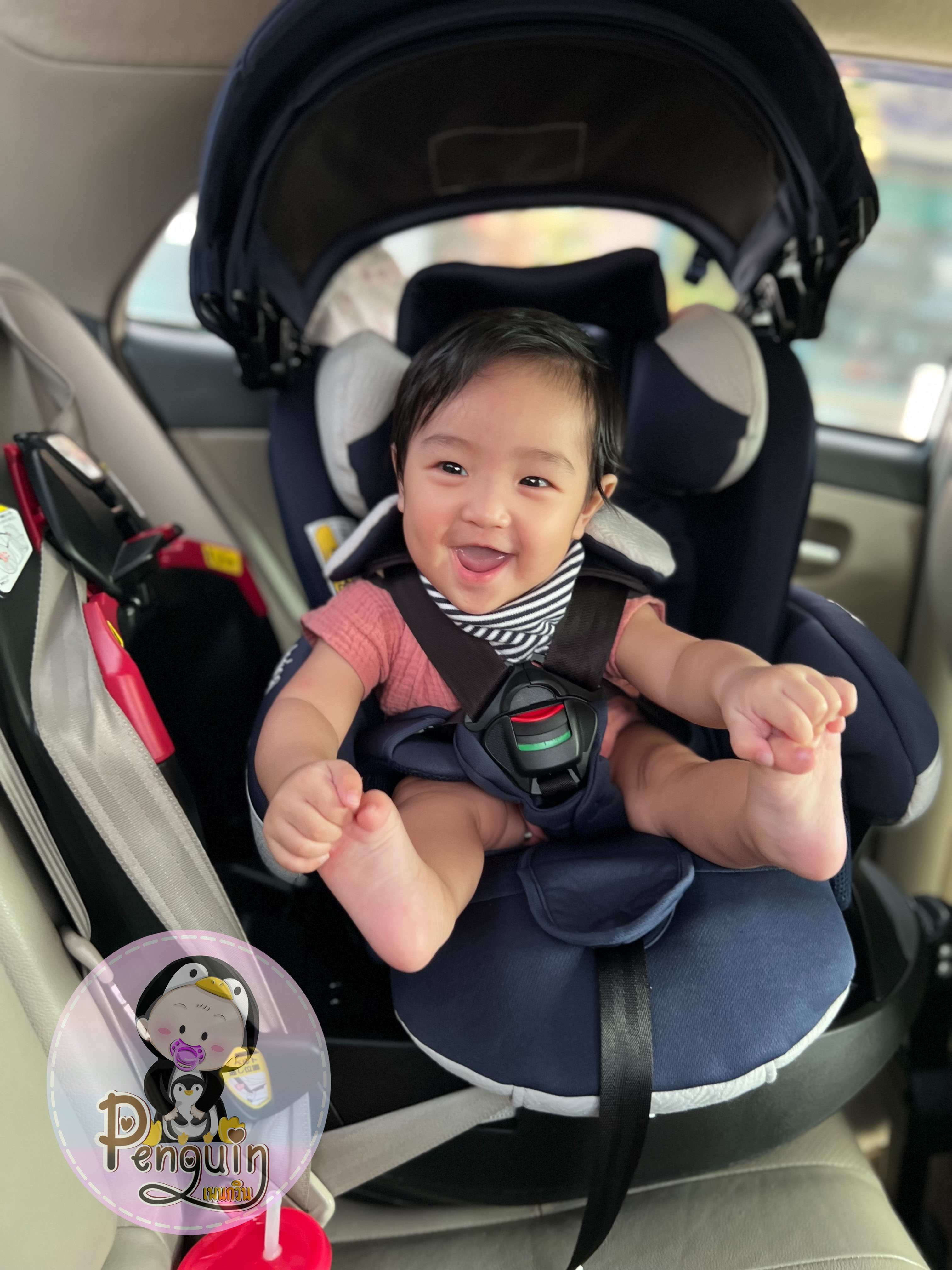 คาร์ซีทมือสอง Aprica Fladea Grow DX (Isofix) สีน้ำตาล