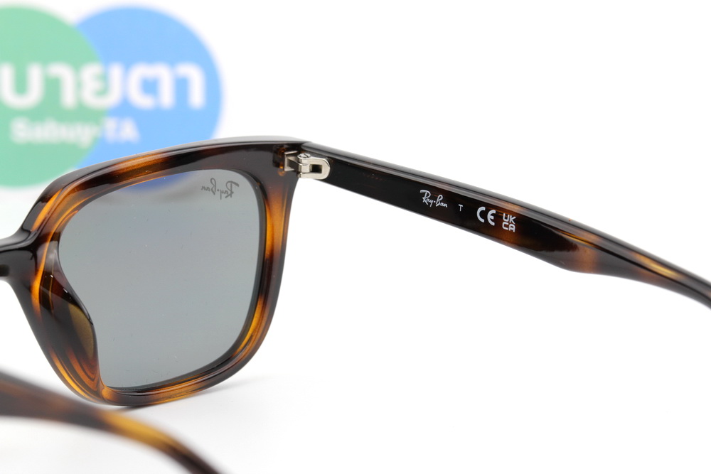 RayBan RB4439D 710/87