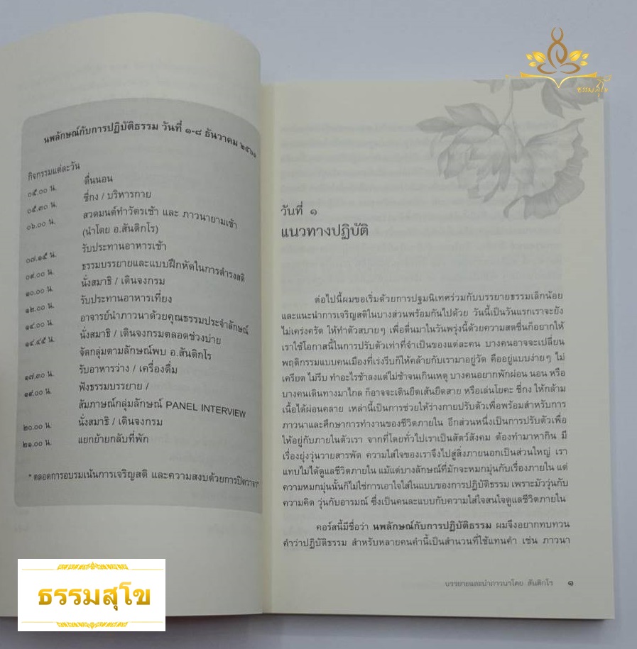 ภาวนา ๙ รูปแบบ (นพลักษณ์กับการปฏิบัติธรรม)