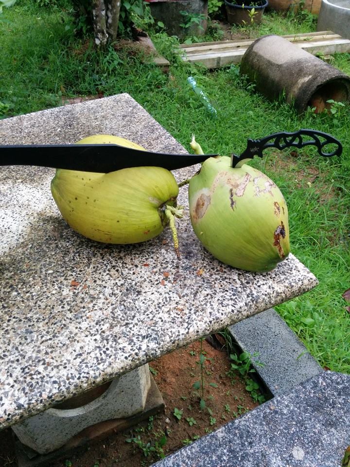 สปาตั้น