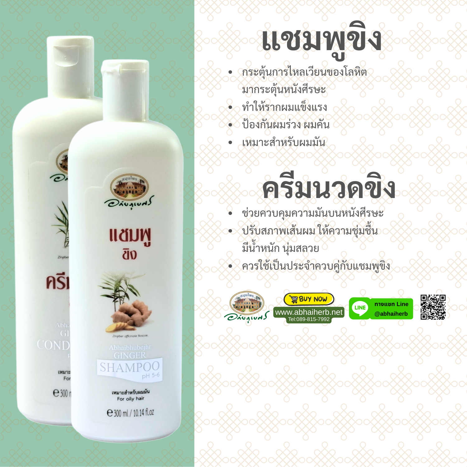 Ginger Shampoo+Conditioner - Abhaiherb