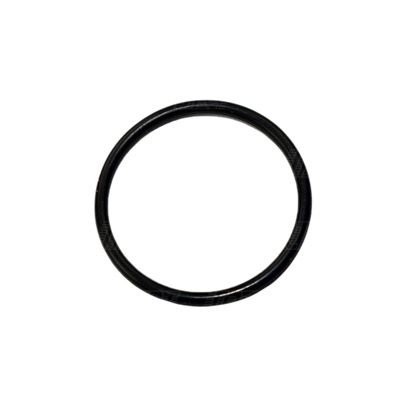 O-RING S-20 B2286