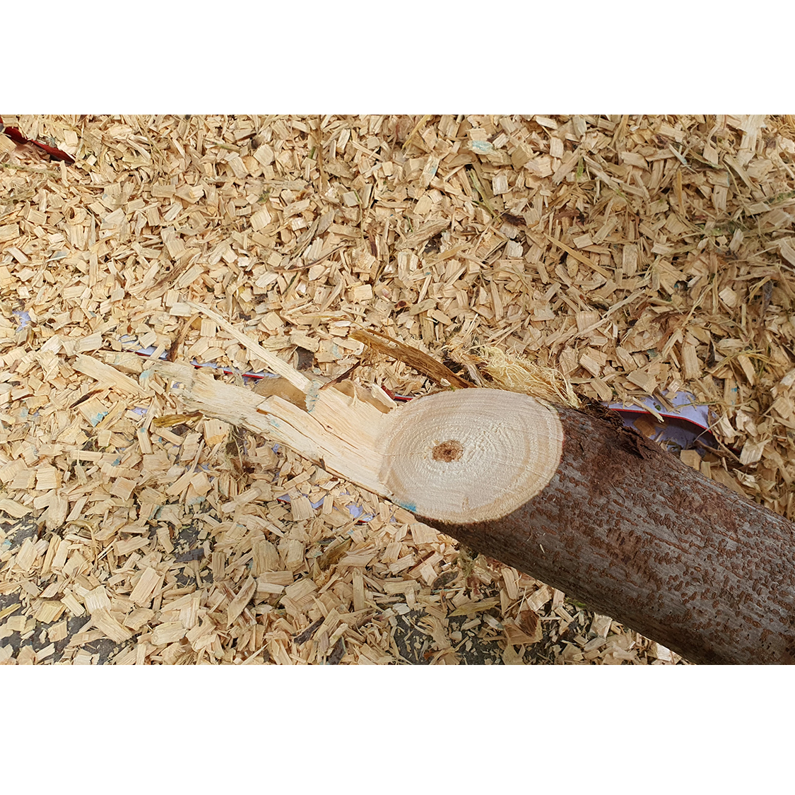 เครื่องสับ-ย่อยซากพืช (รุ่นใหญ่) MA104 XL เครื่องเปล่า