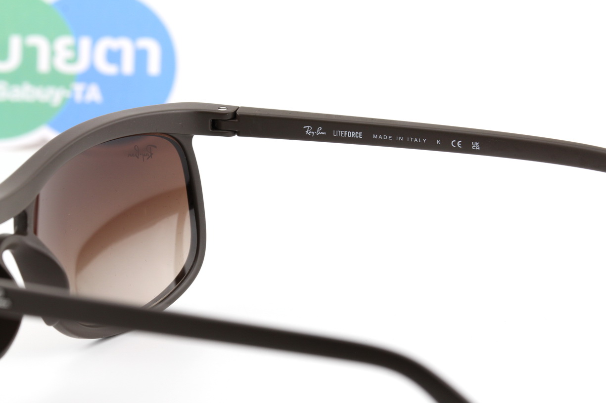 RayBan RB4452 612413 Predator Liteforce