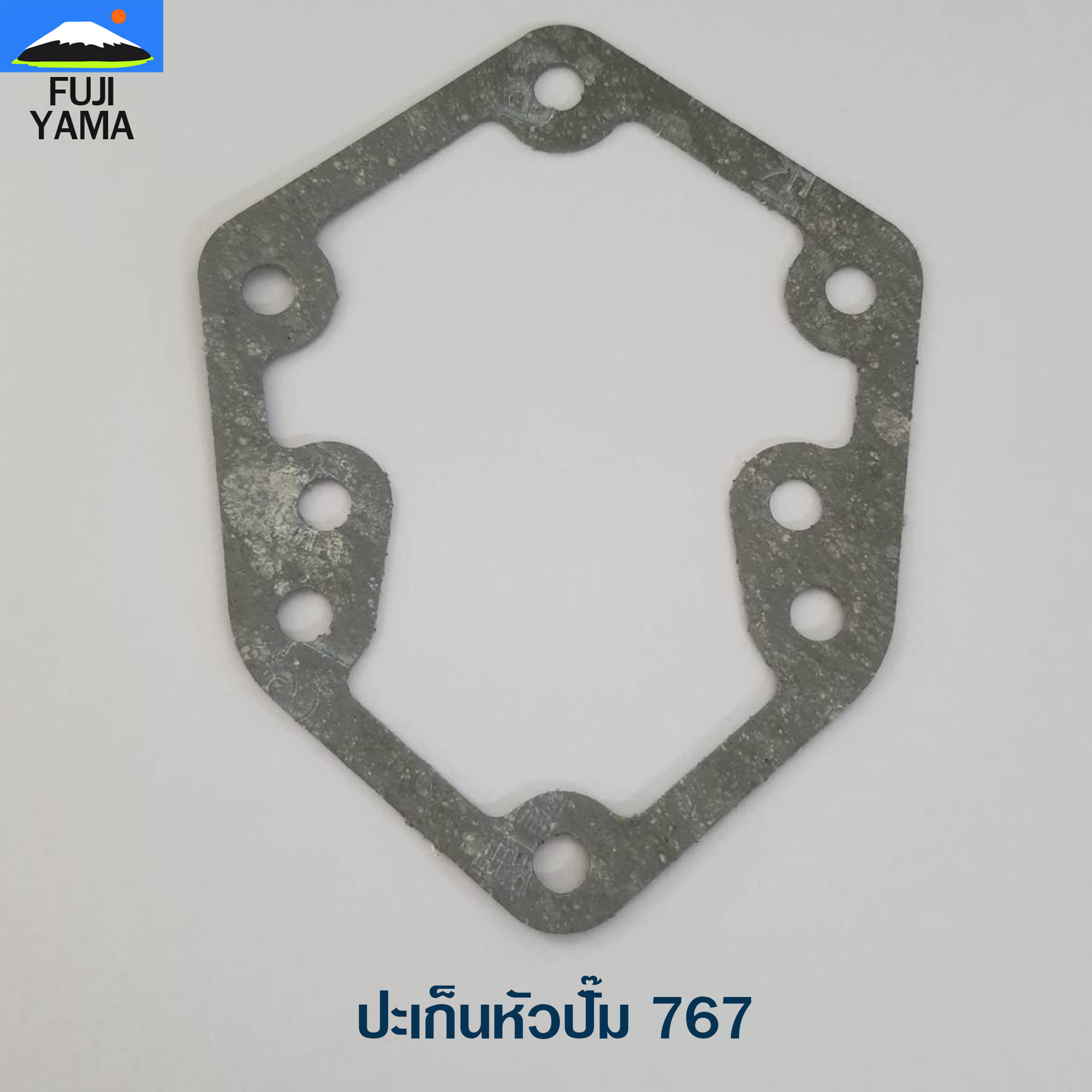 ปะเก็นหัวปั๊ม 767 ใช้กับปั๊มพ่นยา / ฉีดยา รุ่น 767