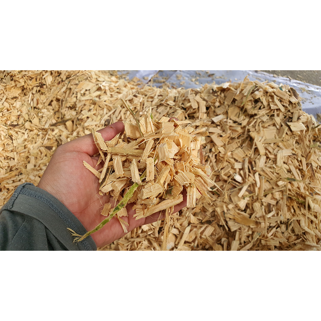 เครื่องสับ-ย่อยซากพืช MA104 เครื่องเปล่า