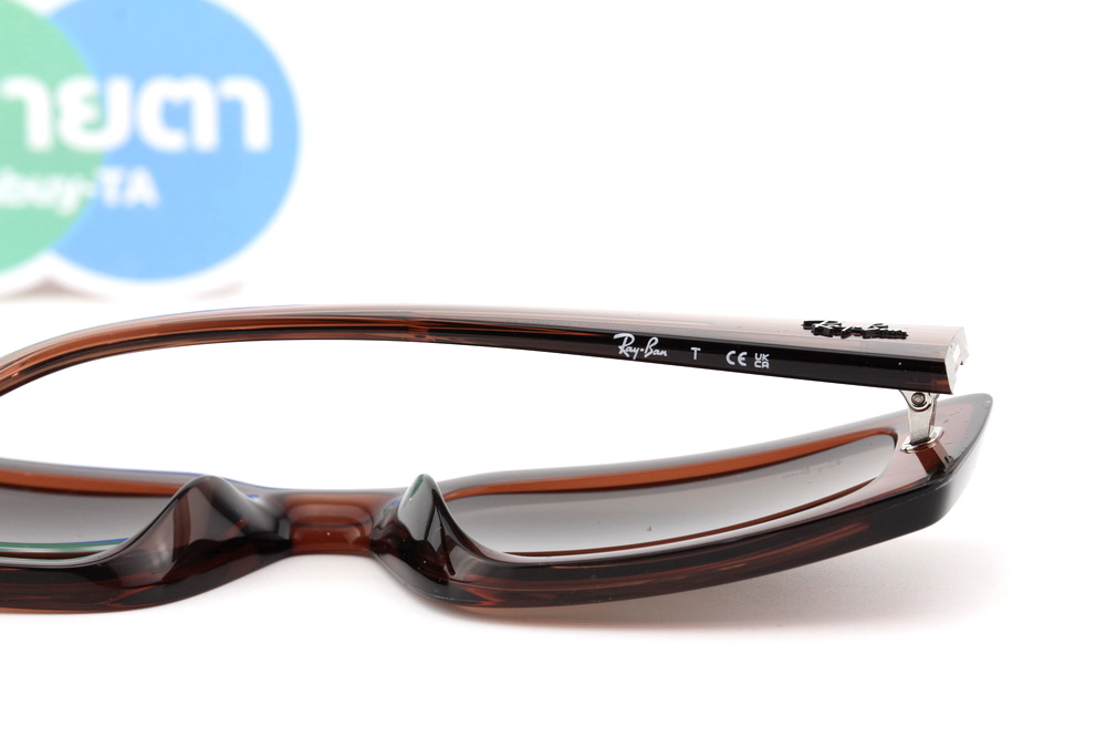 RayBan KILIANE RB4395F 667873