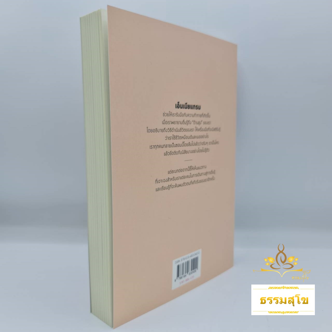 เอ็นเนียแกรมสู่การตื่นรู้ : เข้าใจตัวตนปลอม เข้าใจตัวตนจริง Beatrice Chestnut