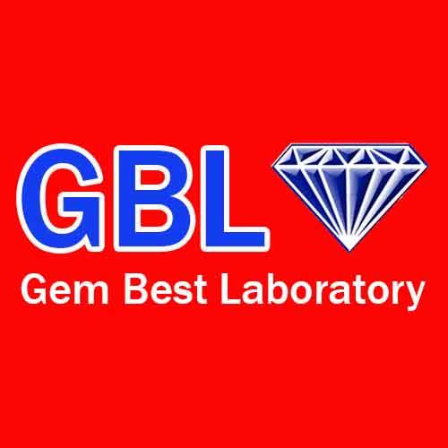 https://www.facebook.com/gblgembestlab/