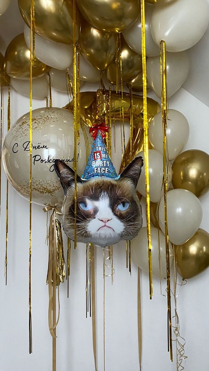 grumpy cat + 1 big balloon + 2pc 40”numbers + 22pc balloons