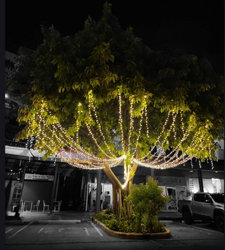 โครงการประดับไฟต้นไม้ในธีม งานเลี้ยงมีหลากหลายระบบการจัดแต่งไฟให้ดูสวยงามเลือกแบบ ชนิดความสว่างและสีสันของไฟประดับได้อย่างหลากหลาย ที่นี่มีบริการรับจัดแต่งและให้เช่า
