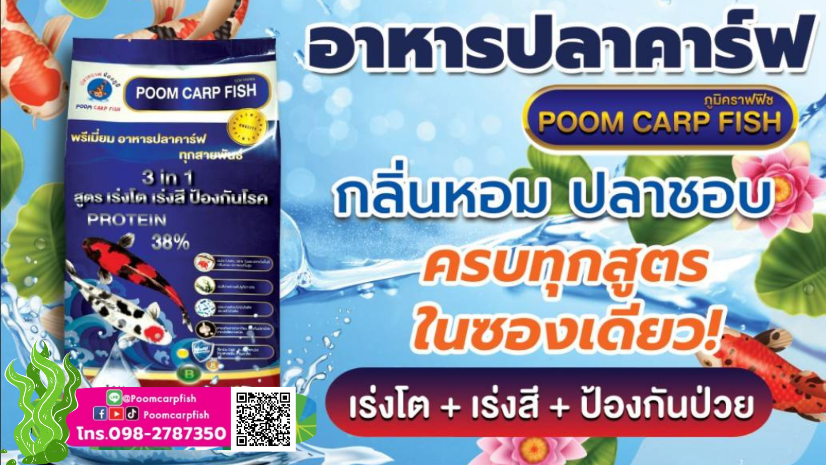 อาหารปลาคาร์ฟ ครบทุกสูตรในซองเดียว