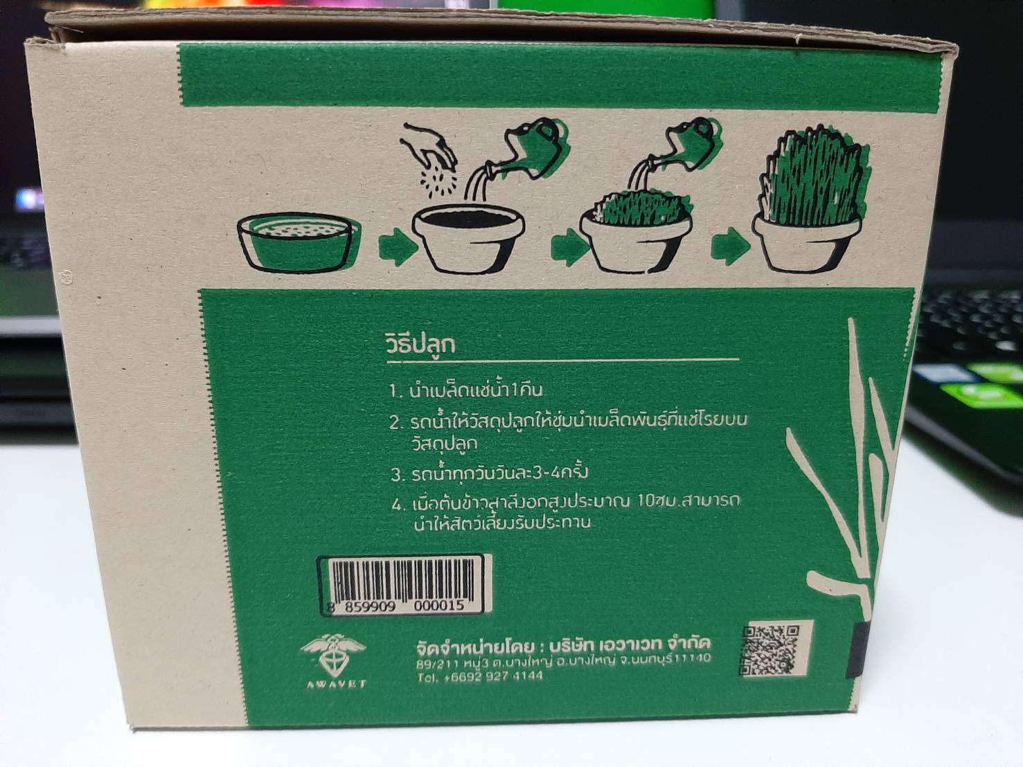 ชุดปลูกข้าวสาลีสำเร็จรูป ตั้งโชว์สวย ปลูกง่าย พร้อมปลูก