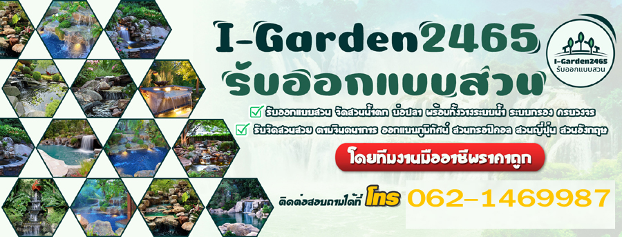 รับจัดสวน