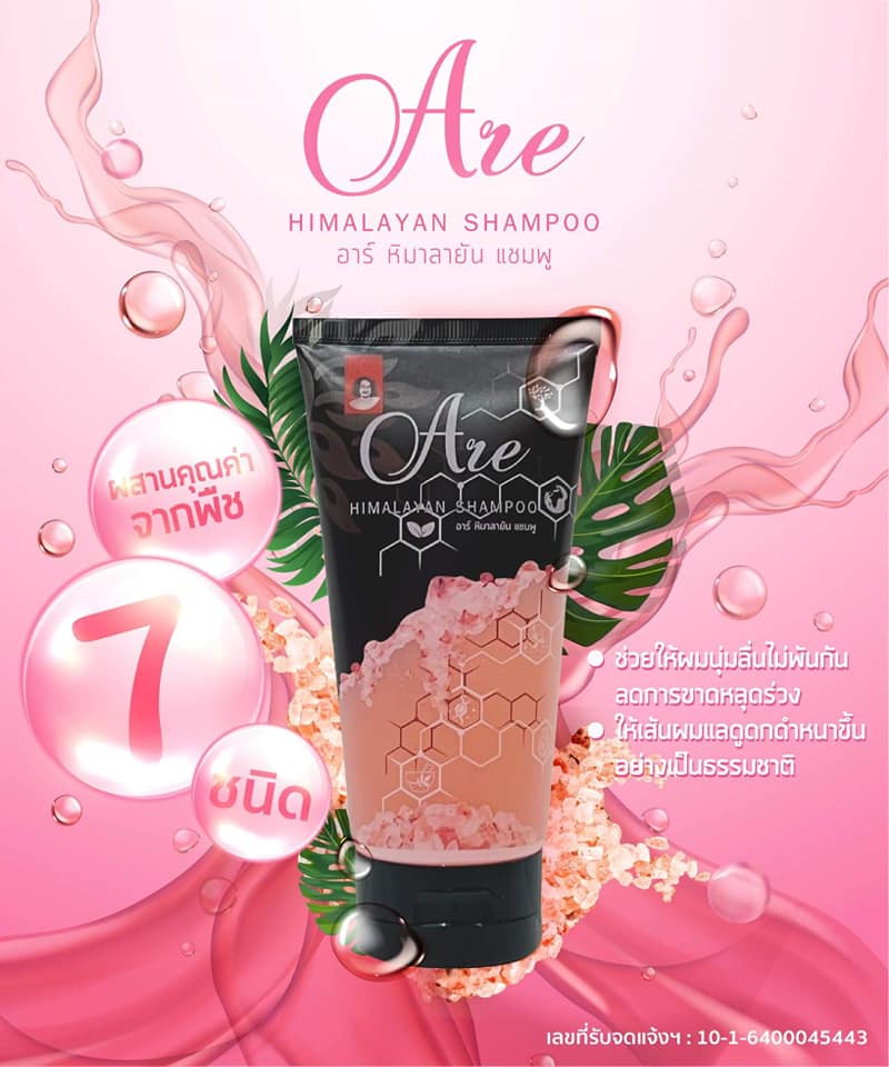 แชมพูป๋า Are Himalayan shampoo อาร์ หิมาลายัน แชมพู เกลือหิมาลัย แชมพูหมอนอกกะลา ป๋าสันติ หมอนอกกะลา santimanadee