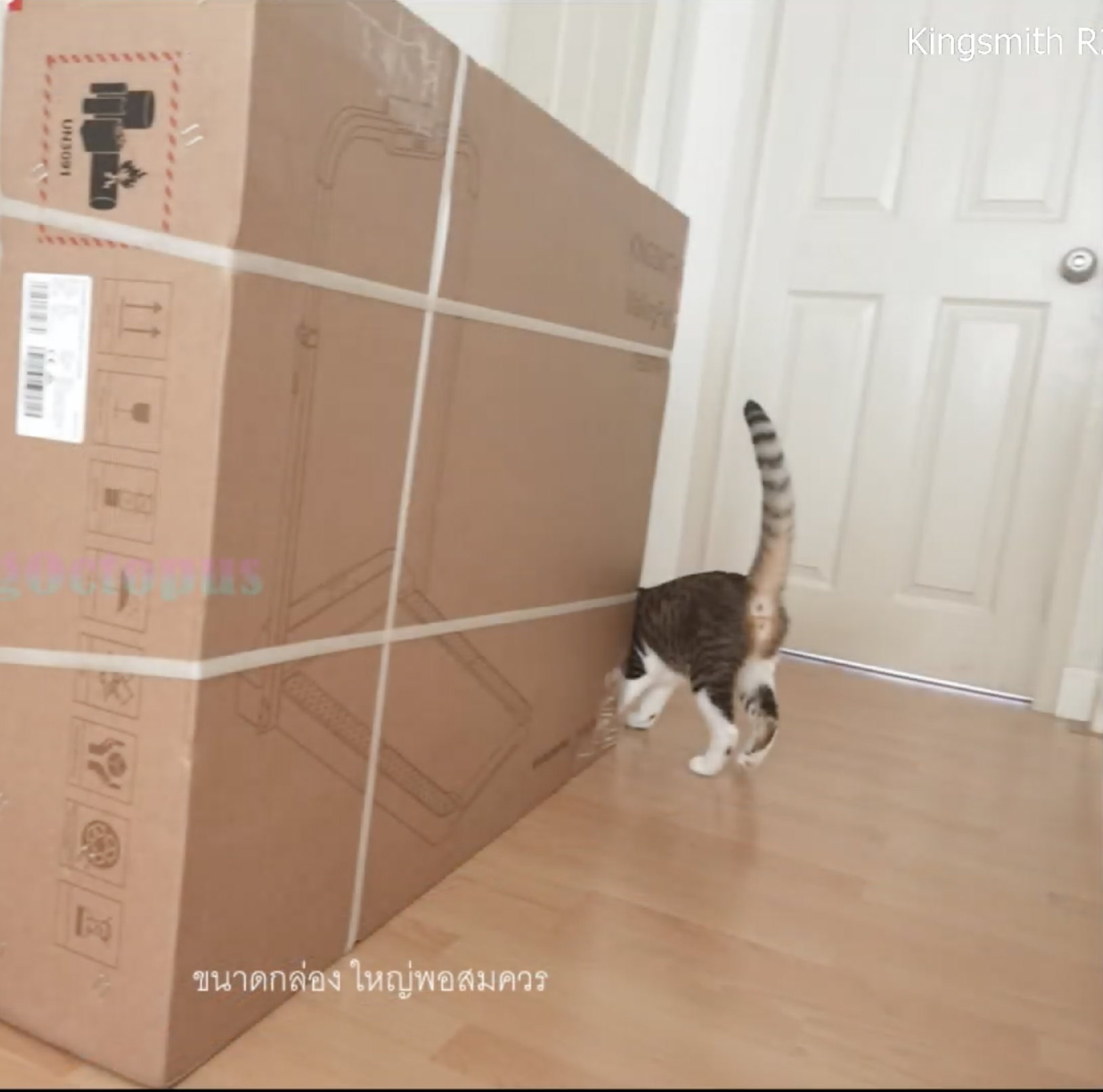 ลู่วิ่งไฟฟ้า ลู่วิ่งสายพาน ลู่วิ่งออกกำลังกาย ลู่วิ่งดีไซน์สุดล้ำ วัสดุ สุด พรีเมี่ยม R.2