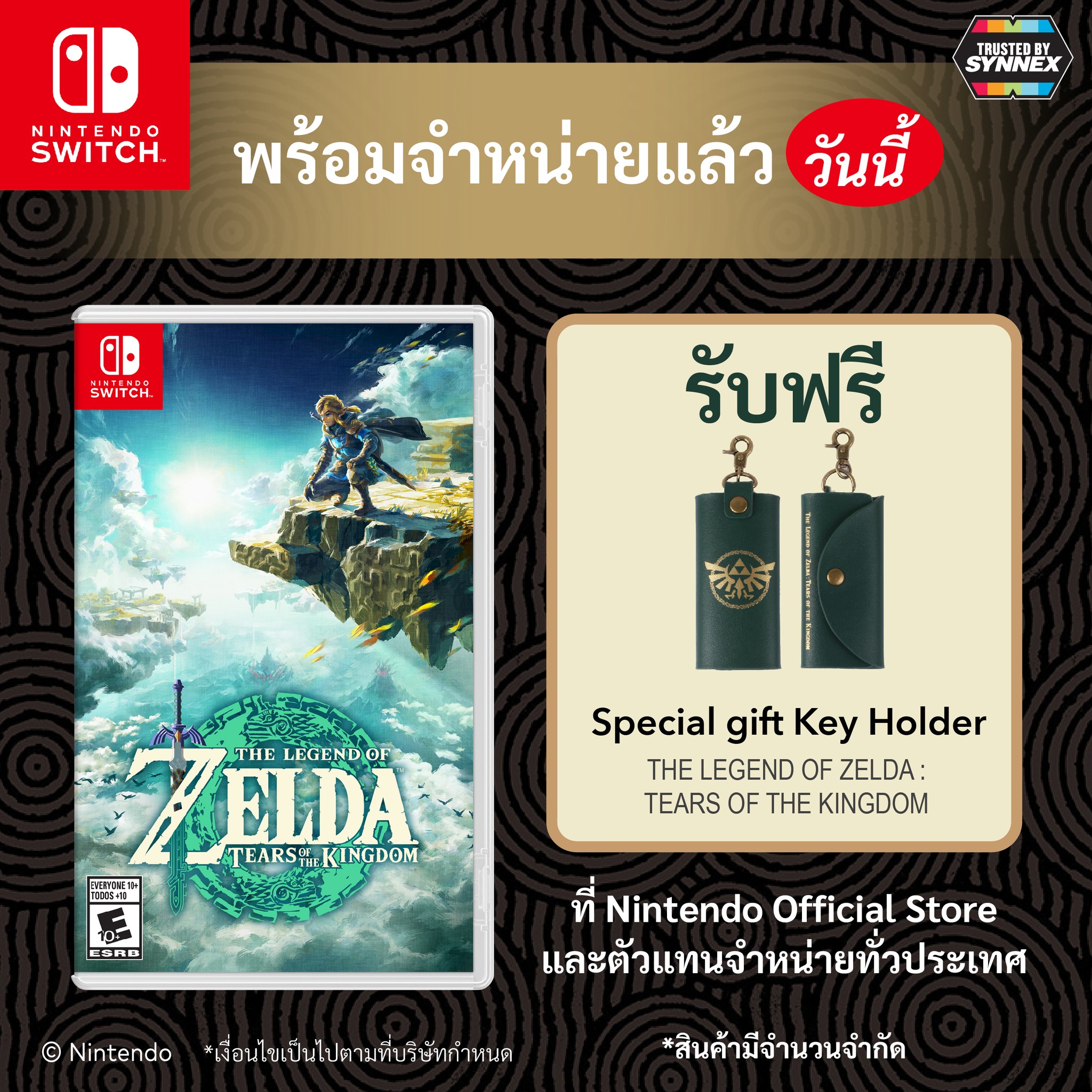 NINTENDO The Legend of Zelda: Tears of the Kingdom (Software) - SW-ZELDA-TEARS-OF-THE-KINGDOM