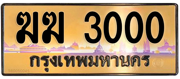 ทะเบียนสวย 3000 ขายทะเบียน 3000 ฆฆ 3000 (ผลรวม 9)