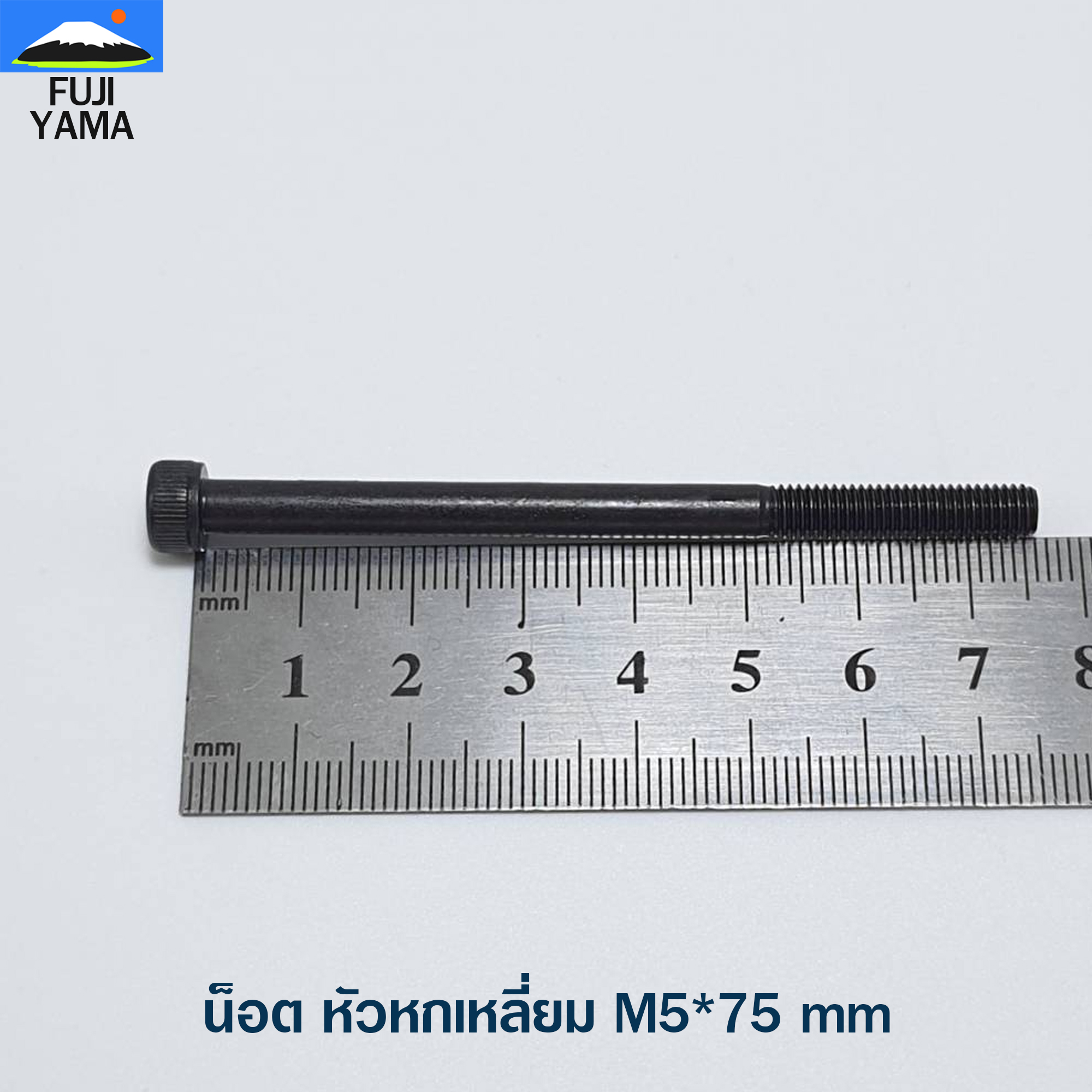 น็อต หัวหกเหลี่ยม M5*75 mm