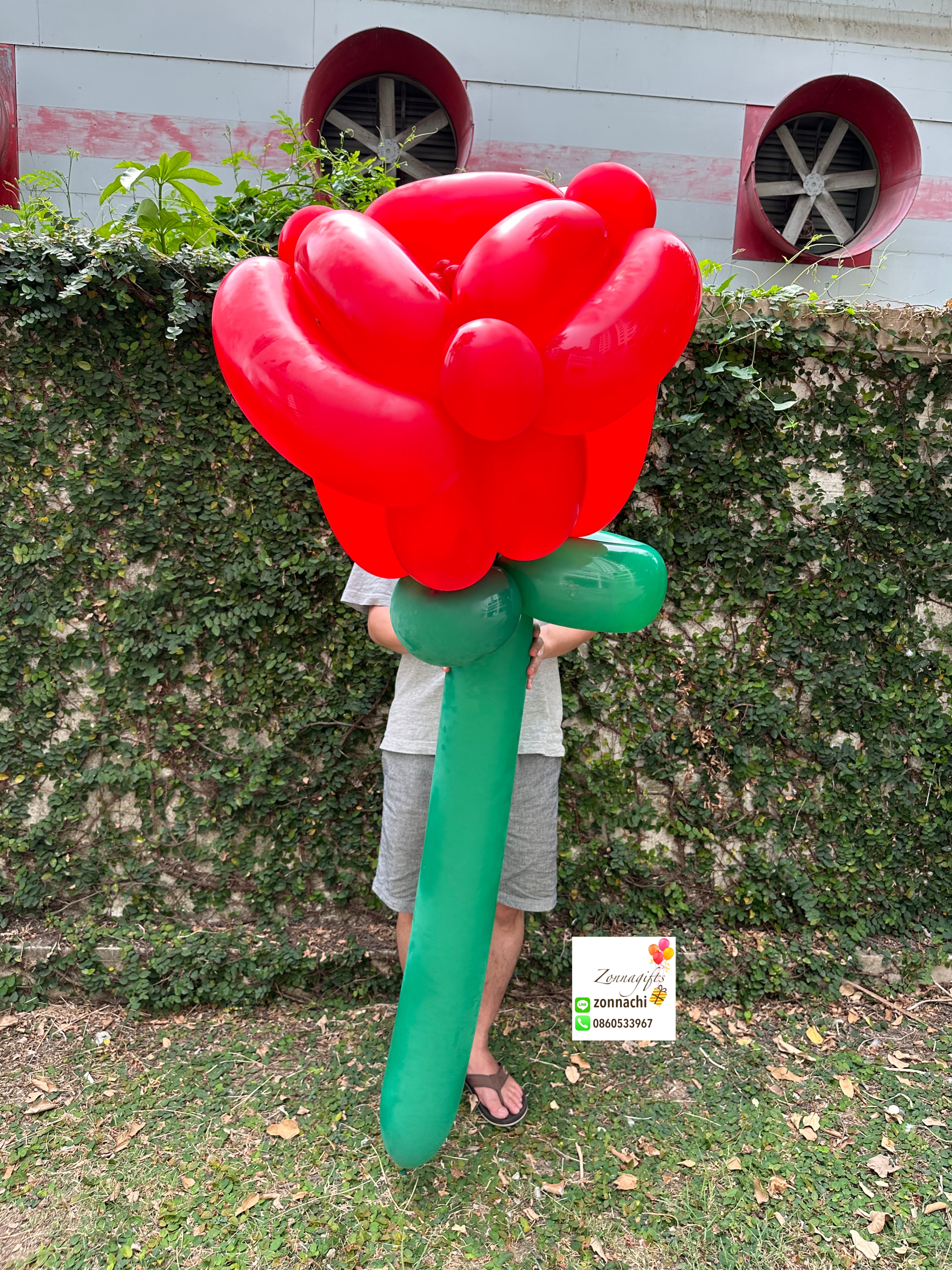Giant rose balloon