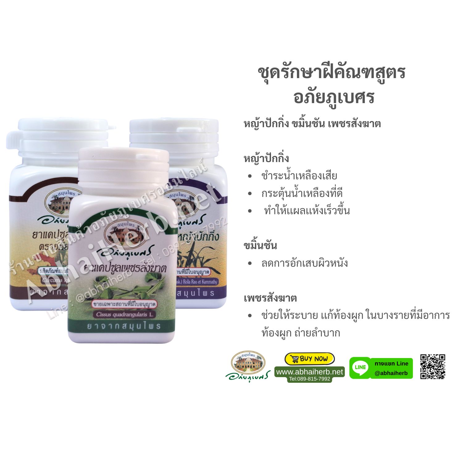 (ลด 10%) ชุดรักษาฝีคัณฑสูตร อภัยภูเบศร