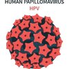 ไวรัส HPV (Human Papilloma Virus)