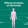 ความเครียดเรื้อรัง(Chronic Stress)
