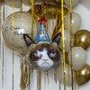 grumpy cat + 1 big balloon + 2pc 40”numbers + 22pc balloons