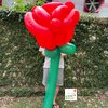 Giant rose balloon