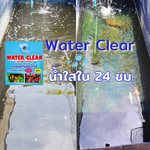 ทำไมเราต้องล้างกรอง ถ่ายน้ำ บ่อปลาเป็นประจำ