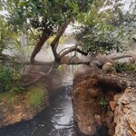 สวนสวยและน้ำใส ช่วยผ่อนคลายจิตใจได้อย่างไรบ้าง ?