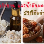 น้ำมันกำยาน และน้ำมันมดยอบมีวิธีใช้อย่างไร?