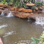 การตกแต่งบ้านด้วยบ่อปลาคราฟ