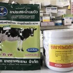 หัวนมตัน !หัวนมใหญ่ ! แม่วัวไม่มีน้ำนม ! แม่วัวไม่ให้กินนม!