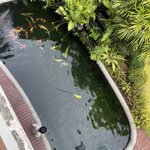 บ่อปลาคราฟในบ้าน สานสัมพันธ์ให้ครอบครัว