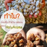 ทำไมต้องซื้อ กำยาน มดยอบ ของ HolyAroma?